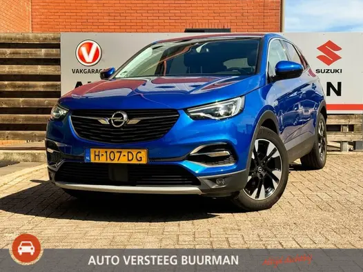 Opel Grandland X 1.2 Turbo Business Executive Camera, Apple Carplay/Android Auto, Halfleren Bekleding, Climate/Cruise Control