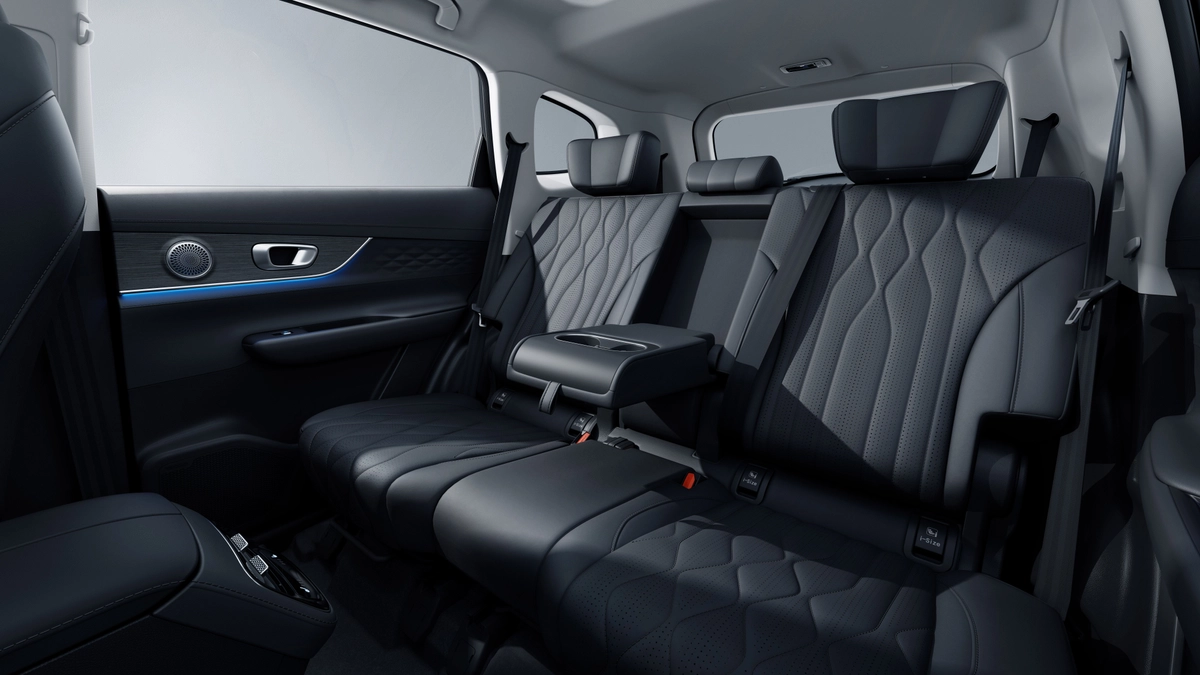 leopard ICE-rear space-black.jpg