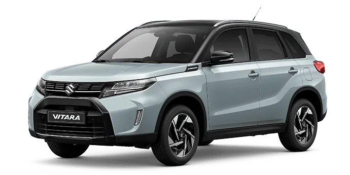 Suzuki Vitara Barneveld Ermelo Nunspeet Deventer Harderwijk (3).png